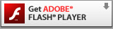 download Adobe Flash Player now